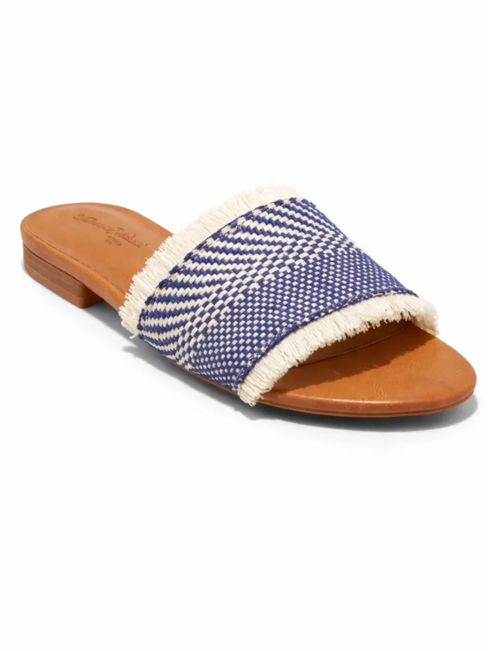 Universal Thread Blue Fringe Sandals - Picture 1 of 7